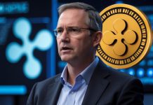 Ripple’s CEO Brad Garlinghouse Issues Urgent Warning to XRP Investors About Rising Scams Leonardo Phoenix 10 Generate an image showing Ripples CEO Brad 0