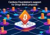 Cardano Foundation Supports Dingo Block: 5 Key Insights for Network Resilience Cardano Foundation Dingo Block Support